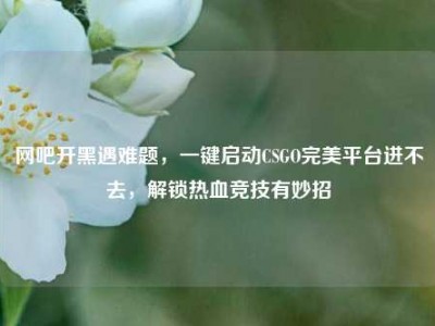 网吧开黑遇难题，一键启动CSGO完美平台进不去，解锁热血竞技有妙招