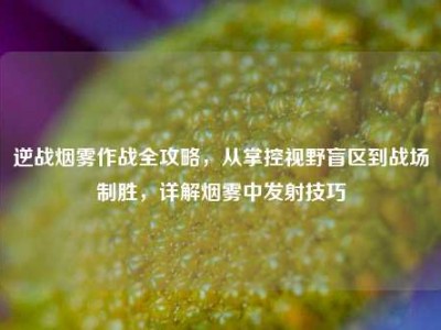 逆战烟雾作战全攻略，从掌控视野盲区到战场制胜，详解烟雾中发射技巧