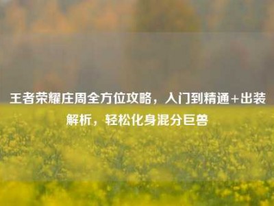王者荣耀庄周全方位攻略，入门到精通+出装解析，轻松化身混分巨兽