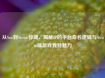 从Saw到Steam惊魂，揭秘IP的平台命名逻辑与Steam端游戏独特魅力