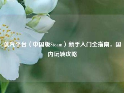 蒸汽平台（中国版Steam）新手入门全指南，国内玩转攻略