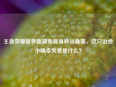 王者荣耀新界面萌兔现身峡谷角落，这只治愈小确幸究竟是什么？