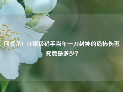 回忆杀！CF终极猎手当年一刀封神的恐怖伤害究竟是多少？