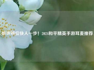 听声辨位快人一步！2024和平精英手游耳麦推荐