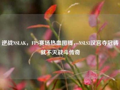 逆战NSLAK，FPS赛场热血图腾，NSLS3汉宫夺冠铸就不灭战斗传奇