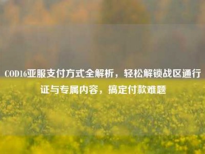 COD16亚服支付方式全解析，轻松解锁战区通行证与专属内容，搞定付款难题