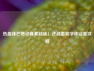 热血锋芒燃动像素战场！逆战套装字体设置攻略