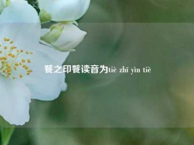 餮之印餮读音为tiè zhī yìn tiè