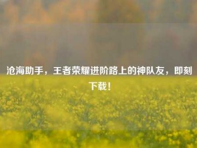 沧海助手，王者荣耀进阶路上的神队友，即刻下载！