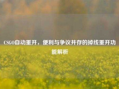 CSGO自动重开，便利与争议并存的掉线重开功能解析