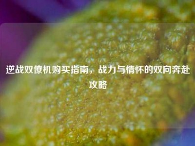 逆战双僚机购买指南，战力与情怀的双向奔赴攻略