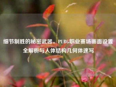 细节制胜的秘密武器，PUBG职业赛场画面设置全解析与人体结构几何体速写