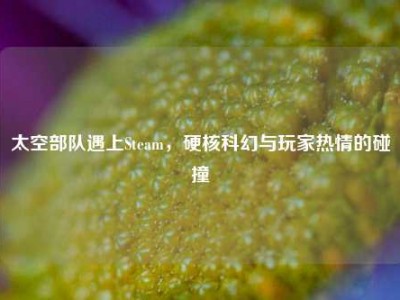 太空部队遇上Steam，硬核科幻与玩家热情的碰撞