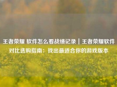 王者荣耀 软件怎么看战绩记录｜王者荣耀软件对比选购指南：找出最适合你的游戏版本