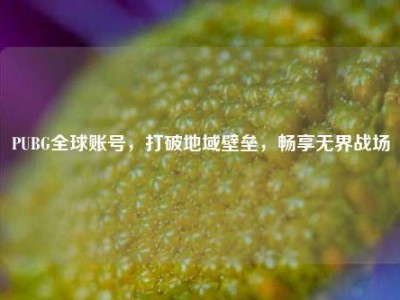 PUBG全球账号，打破地域壁垒，畅享无界战场