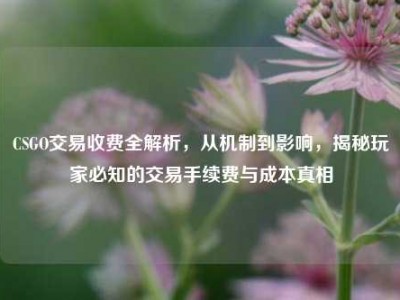 CSGO交易收费全解析，从机制到影响，揭秘玩家必知的交易手续费与成本真相