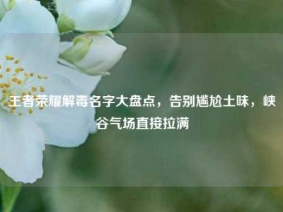 王者荣耀解毒名字大盘点，告别尴尬土味，峡谷气场直接拉满