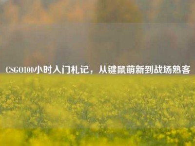 CSGO100小时入门札记，从键鼠萌新到战场熟客
