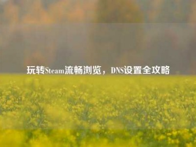 玩转Steam流畅浏览，DNS设置全攻略