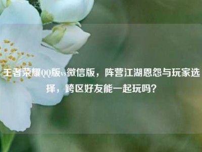 王者荣耀QQ版vs微信版，阵营江湖恩怨与玩家选择，跨区好友能一起玩吗？