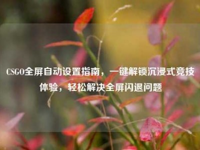 CSGO全屏自动设置指南，一键解锁沉浸式竞技体验，轻松解决全屏闪退问题