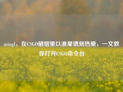 mingl，在CSGO硝烟里以准星镌刻热爱，一文教你打开CSGO命令台