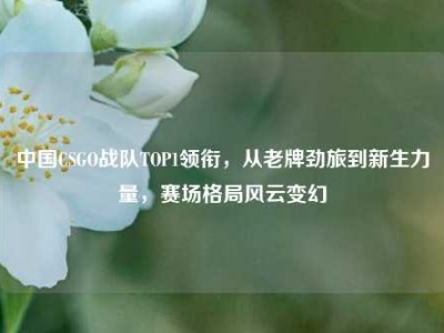 中国CSGO战队TOP1领衔，从老牌劲旅到新生力量，赛场格局风云变幻