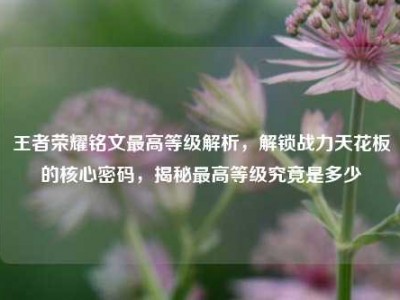 王者荣耀铭文最高等级解析，解锁战力天花板的核心密码，揭秘最高等级究竟是多少