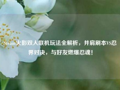 Steam火影双人联机玩法全解析，并肩刷本VS忍界对决，与好友燃爆忍魂！