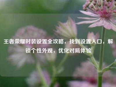 王者荣耀时装设置全攻略，找到设置入口，解锁个性外观，优化对局体验