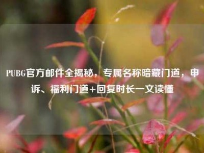PUBG官方邮件全揭秘，专属名称暗藏门道，申诉、福利门道+回复时长一文读懂