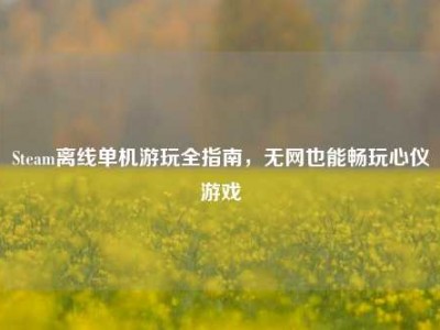 Steam离线单机游玩全指南，无网也能畅玩心仪游戏