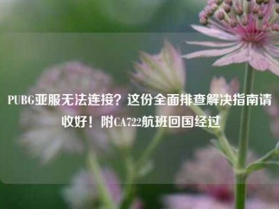 PUBG亚服无法连接？这份全面排查解决指南请收好！附CA722航班回国经过