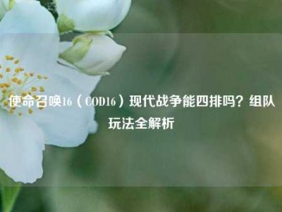 使命召唤16（COD16）现代战争能四排吗？组队玩法全解析