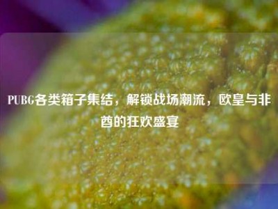 PUBG各类箱子集结，解锁战场潮流，欧皇与非酋的狂欢盛宴