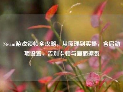 Steam游戏锁帧全攻略，从原理到实操，含启动项设置，告别卡顿与画面撕裂