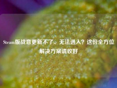 Steam版战意更新不了、无法进入？这份全方位解决方案请收好