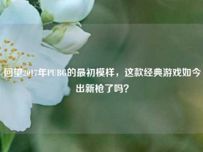 回望2017年PUBG的最初模样，这款经典游戏如今出新枪了吗？