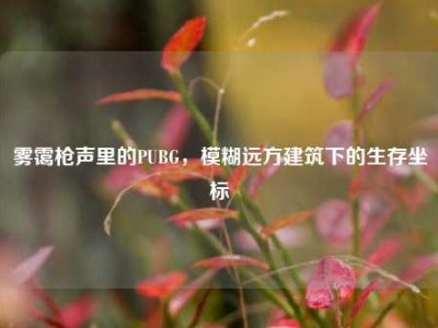 雾霭枪声里的PUBG，模糊远方建筑下的生存坐标