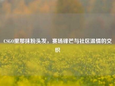 CSGO里那抹粉头发，赛场锋芒与社区温情的交织