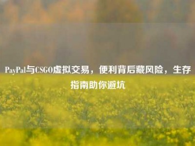 PayPal与CSGO虚拟交易，便利背后藏风险，生存指南助你避坑