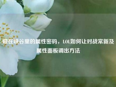 藏在峡谷里的属性密码，LOL如何让对战常新及属性面板调出方法