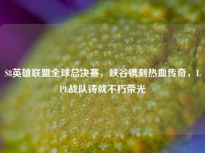 S8英雄联盟全球总决赛，峡谷镌刻热血传奇，LPL战队铸就不朽荣光
