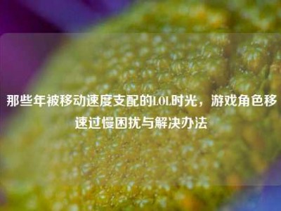 那些年被移动速度支配的LOL时光，游戏角色移速过慢困扰与解决办法