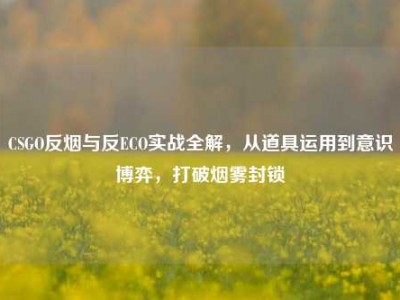 CSGO反烟与反ECO实战全解，从道具运用到意识博弈，打破烟雾封锁