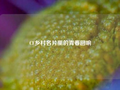 CF乡村名片里的青春回响