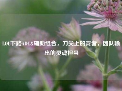 LOL下路ADC&辅助组合，刀尖上的舞者，团队输出的灵魂担当
