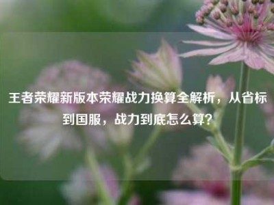 王者荣耀新版本荣耀战力换算全解析，从省标到国服，战力到底怎么算？