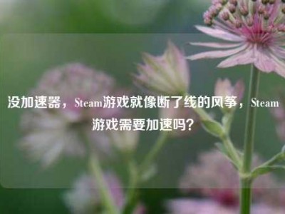 没加速器，Steam游戏就像断了线的风筝，Steam游戏需要加速吗？