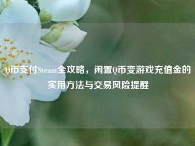 Q币支付Steam全攻略，闲置Q币变游戏充值金的实用方法与交易风险提醒